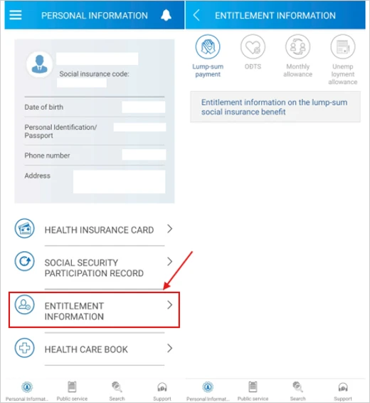 VssID entitlement information screen